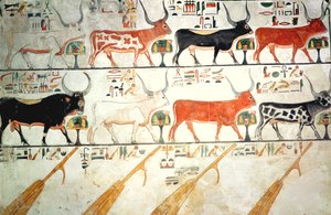Le sette vacche celesti e il toro sacro e i quattro timoni del cielo, dalla Tomba di Nefertari, Nuovo Regno da Egyptian 19th Dynasty