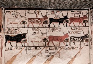 Tomba di Nefertari da Egyptian 19th Dynasty