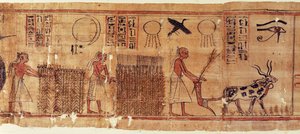 Libro dei Morti di Neb-Hepet (dettaglio dei campi)