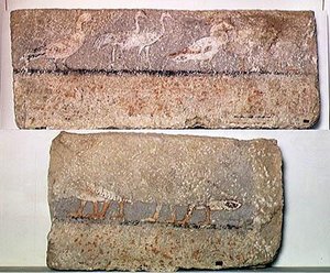 Affresco raffigurante uccelli, Antico Regno