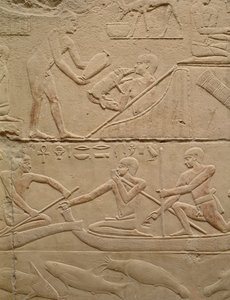 Rilievo raffigurante un uomo che si prende cura di un maialino appena nato e uomini in barche di papiro, dalla Mastaba di Kagemni, Antico Regno (calcare dipinto)