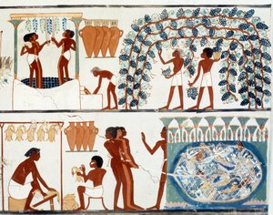 Arte egizia: raccolta e pigiatura dell