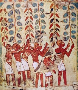 Pittura murale di una tomba egizia da Egyptian Egyptian