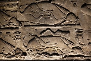 Tempio di Luxor: Mucche sacrificate da Egyptian Egyptian