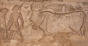 Uomo che tira una mucca, Tempio di Horus, Edfu