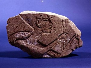 Testa in rilievo di Nefertiti, dalla tomba Abadaya B86