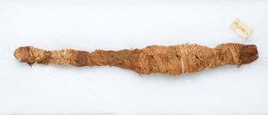 Mummia di un coccodrillo, trovata a Manfalont, 305-30 a.C. da Egyptian Ptolemaic Period