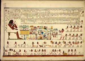 Geroglifici egiziani, da Vedute, ecc., da Sheikh-Hassan a Beni-Hassan, Atlas Folio da Egyptian School