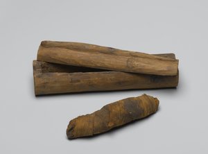 Piccola bara di serpente, con mummia, 664 a.C.-322 a.C.