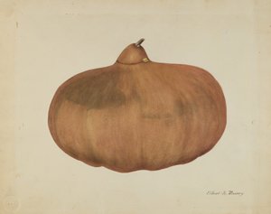Zucca di sale del pioniere da Elbert S. Mowery