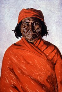 Geronimo, c.1900 (illustrazione) da Elbridge Ayer Burbank