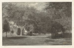 Olmi del New England da Elbridge Kingsley