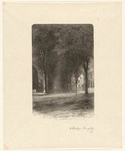 Senza titolo [Strada alberata] da Elbridge Kingsley