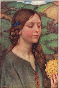Bouquet di fiori, illustrazione da 