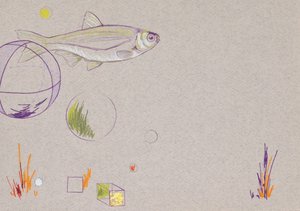 Floating, 2014 (matita acquerellata e foglia d