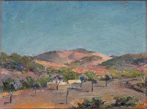 Collina con alberi