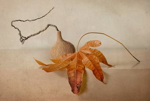 Natura morta autunnale da Elena Arjona
