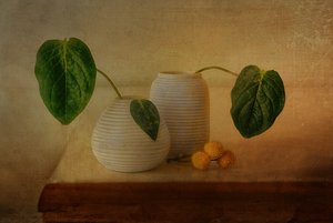 Composizione botanica tranquilla da Elena Arjona