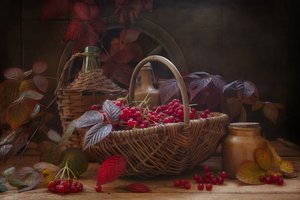 Natura morta con rami autunnali e bacche di viburno scarlatto in stile vintage.