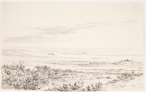 Paesaggio collinare con due volpi