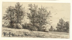 Paesaggio con gruppi di alberi