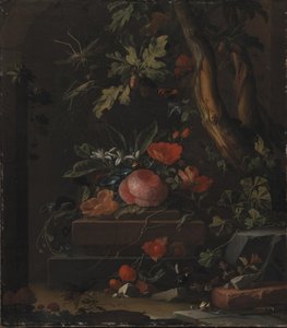 Fiori
