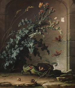 Nicchia di pietra con cardo, lucertola e insetti da Elias van den Broeck