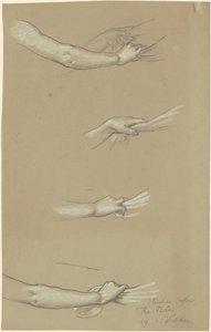 Studio per Le Parche che raccolgono le stelle da Elihu Vedder