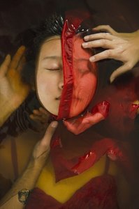 Ragazza scarlatta, 2014 da Elinleticia Högabo