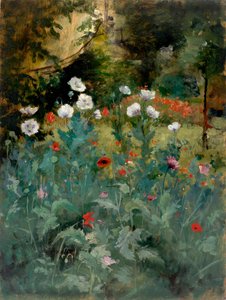 Papaveri da Eliphalet Fraser Andrews