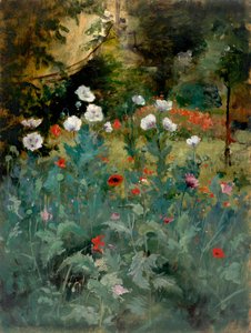 Papaveri da Eliphalet Frazer Andrews