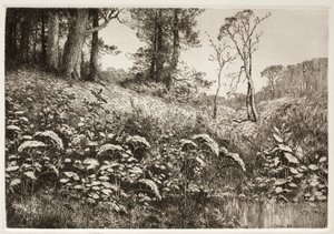 Un Pomeriggio Estivo da Elis F. Miller