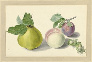 Una pera, pesca, prugna e noci da Elisabeth Geertruida van de Kasteele