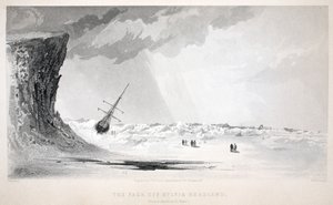 Il branco al largo di Sylvia Headland, illustrazione da 