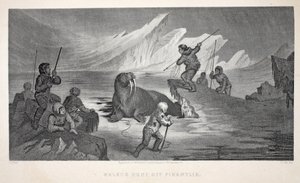 Caccia al tricheco al largo di Pikantlik, illustrazione da 
