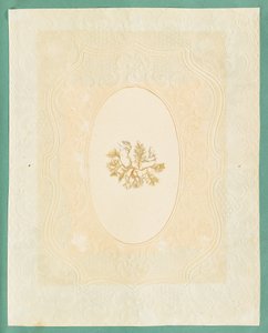Alghe da Eliza A. Jordson