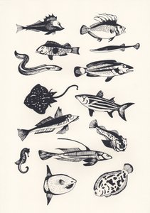 Pesce Monotono, 2015 da Eliza Southwood