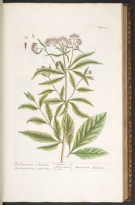 Tavola 110, da 