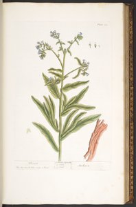 Tavola 112, da 
