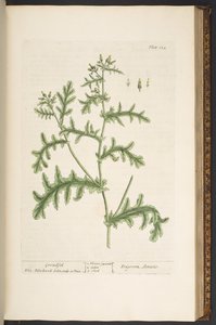 Tavola 132, da 