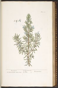 Tavola 159, da 