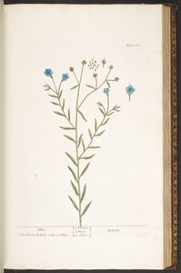 Tavola 160, da 