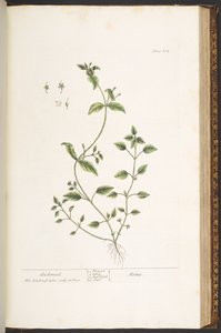 Tavola 164, da 
