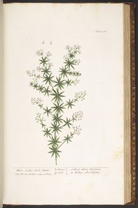 Tavola 168, da 