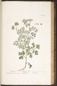 Tavola 176, da 