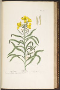 Tavola 179, da 