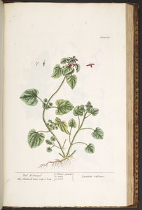 Tavola 182, da 