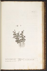 Tavola 212, da 