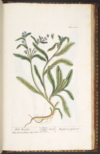 Tavola 234, da 