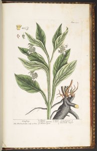 Tavola 252, da 